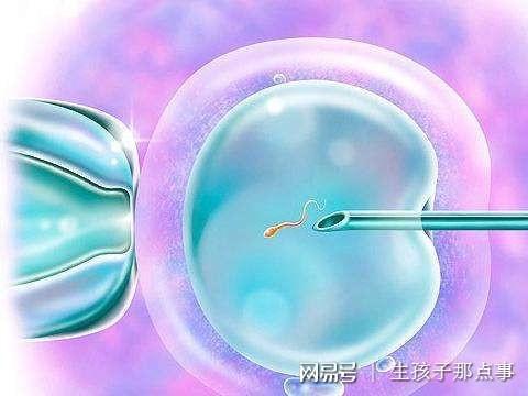 产后月子会所