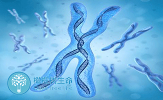 试管婴儿费用
