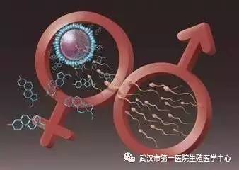 捐卵代怀孕