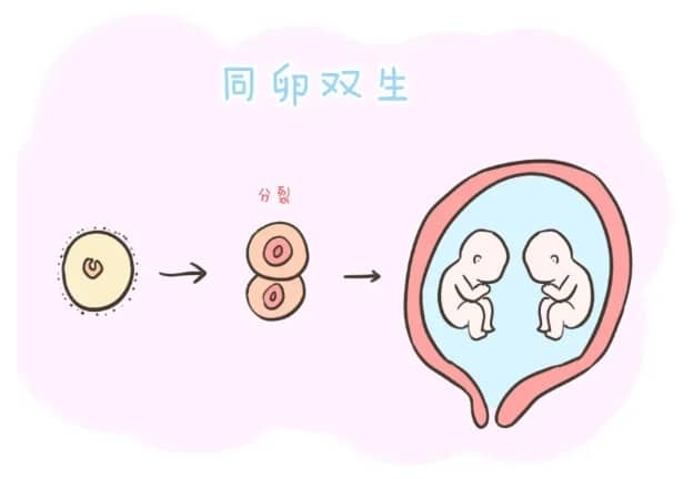 上海捐发的正规机构